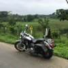 [PD] Harley Davidson - 0008
